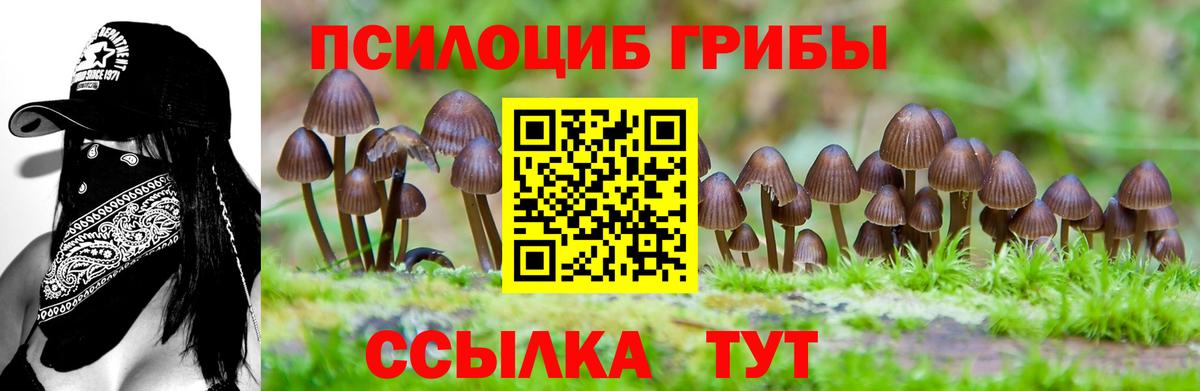 Псилоцибиновые грибы прущие грибы Изобильный